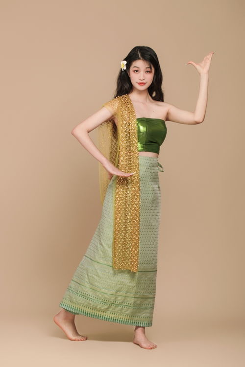 傣族服飾少數(shù)民族服飾女性人物攝影圖 攝影